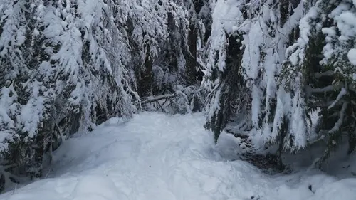 La station de ski de La Bresse Hohneck ouvrira en avance